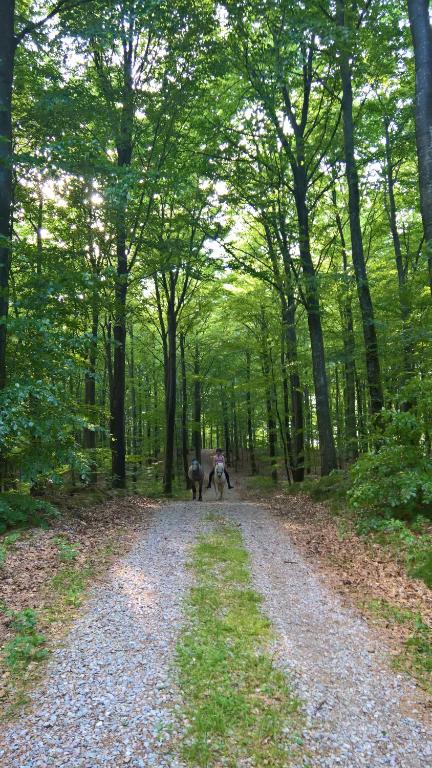 Naturlandschaft in der Nähe des Ferienhauses