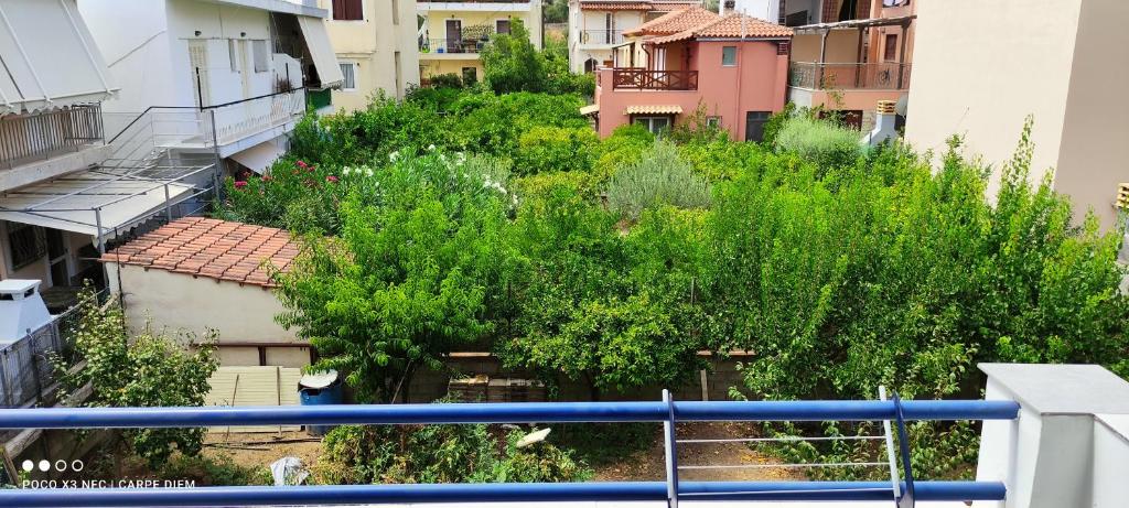 Carpe diem - Appartement D'une Chambre