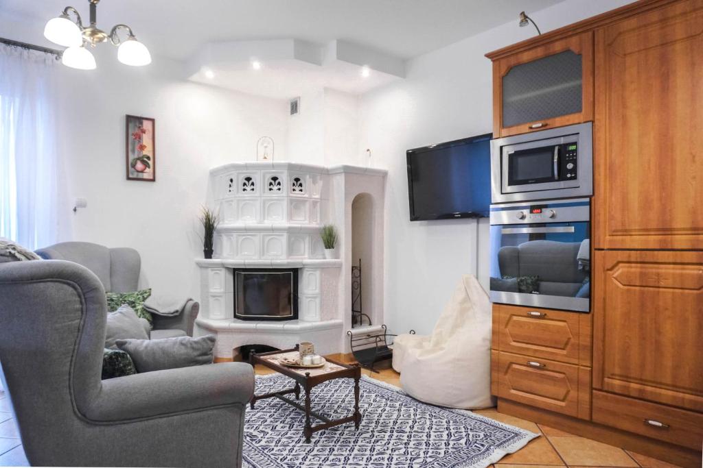 a living room with a couch and a fireplace at Apartament Cisza in Rabka