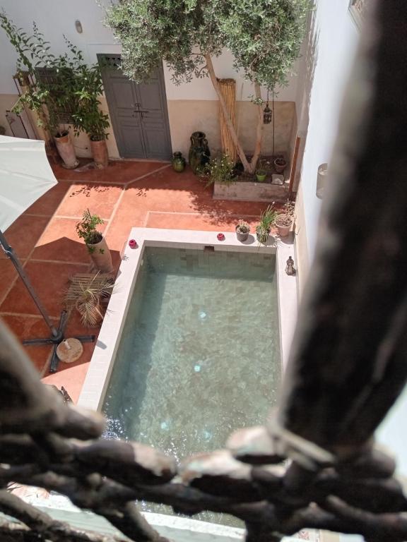 Bazén v ubytování Riad le Jardin de Mina nebo v jeho okolí