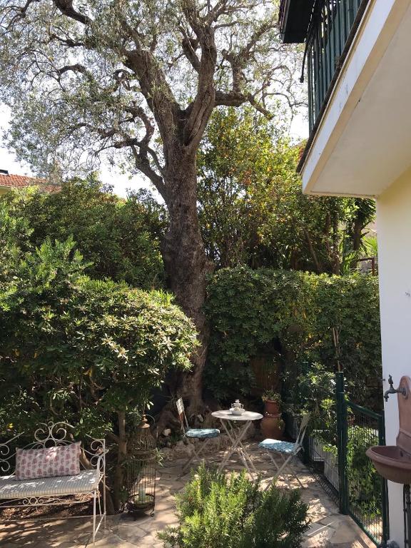 Сад в "L'olivadou" ST JEAN CAP FERRAT