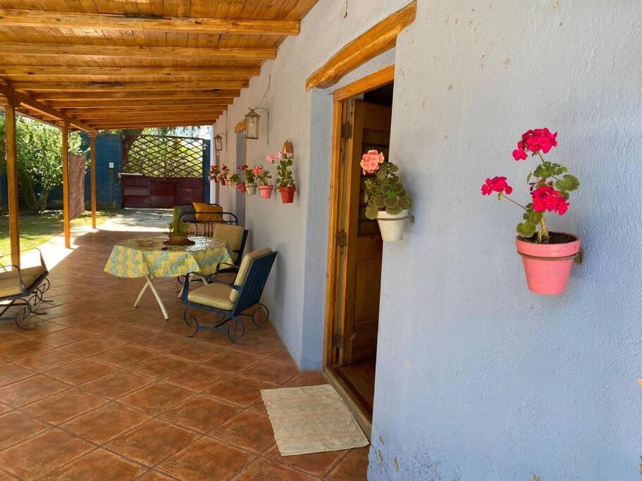 eine Terrasse mit einem Tisch und Topfpflanzen auf einem Gebäude in der Unterkunft El Rancho Azul, casona antigua con piscina in Ciudad Lujan de Cuyo