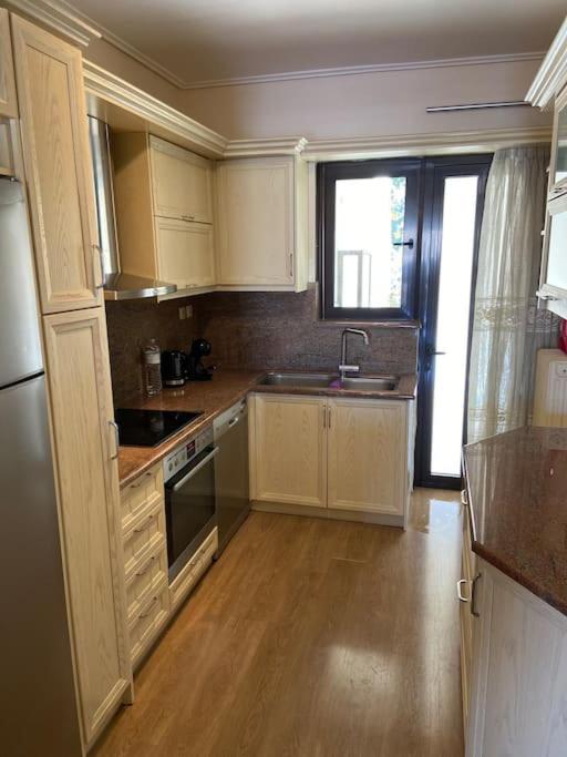 Kuchyň nebo kuchyňský kout v ubytování Luxury apartment in Nafpaktos