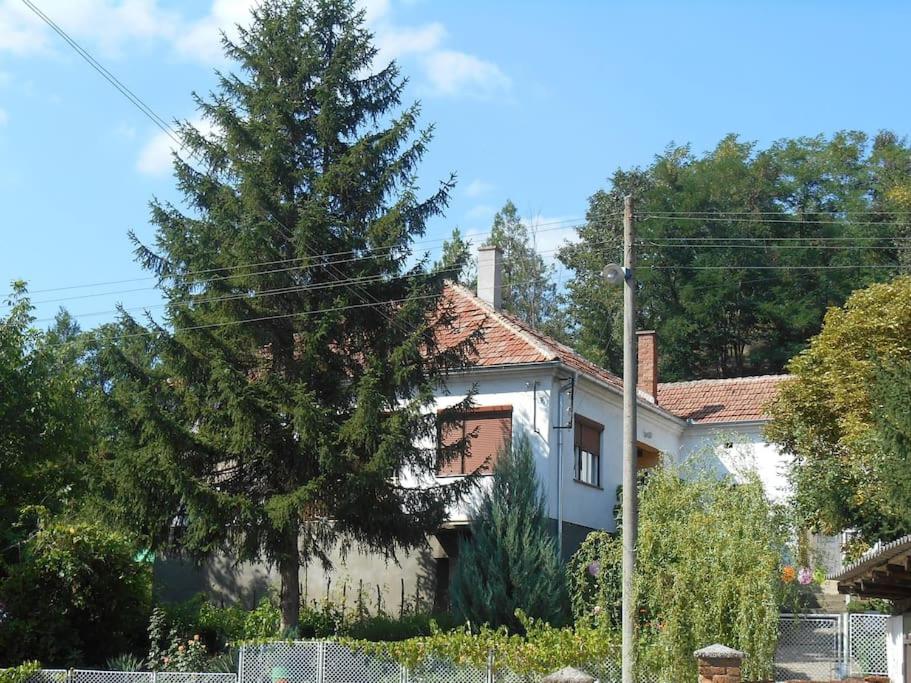 ein weißes Haus mit einem Baum davor in der Unterkunft Villa Ljubica 