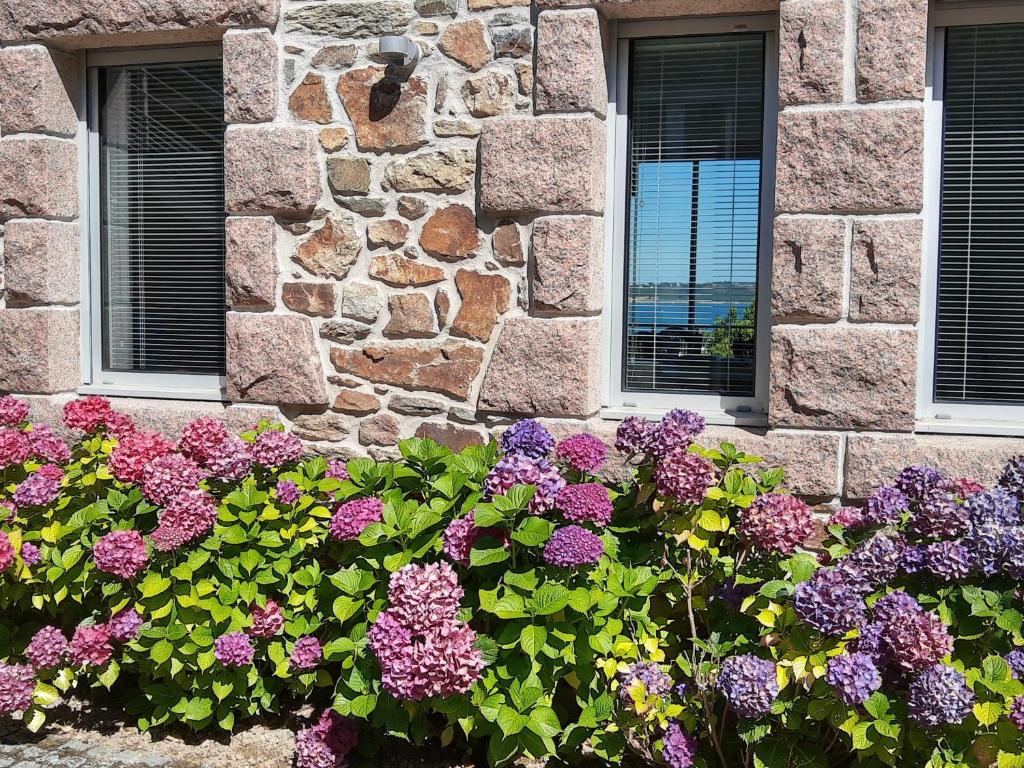 Zahrada ubytování Ma Ripoz B&B - Suite vue mer