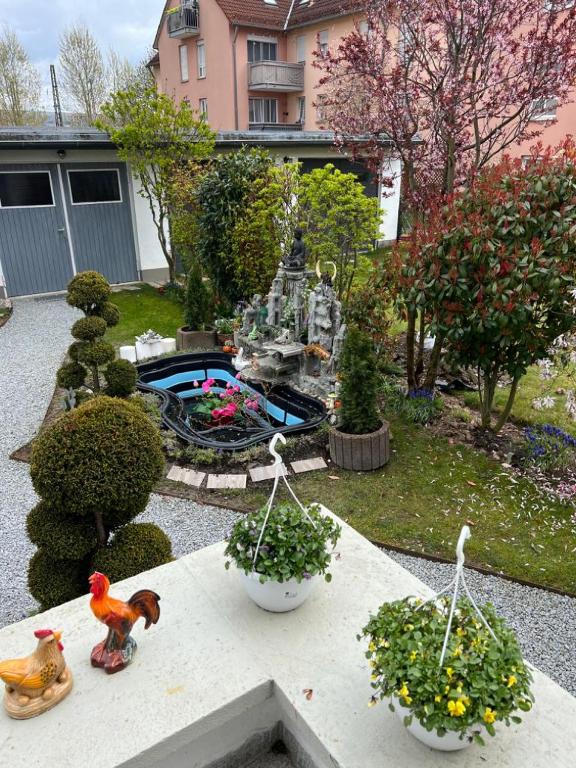 Zahrada ubytování Guesthouse David
