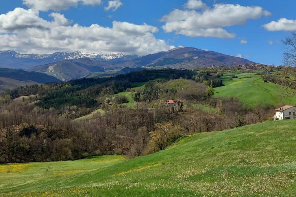vistas a una colina verde con montañas en el fondo en Casa Christine en Villa Minozzo