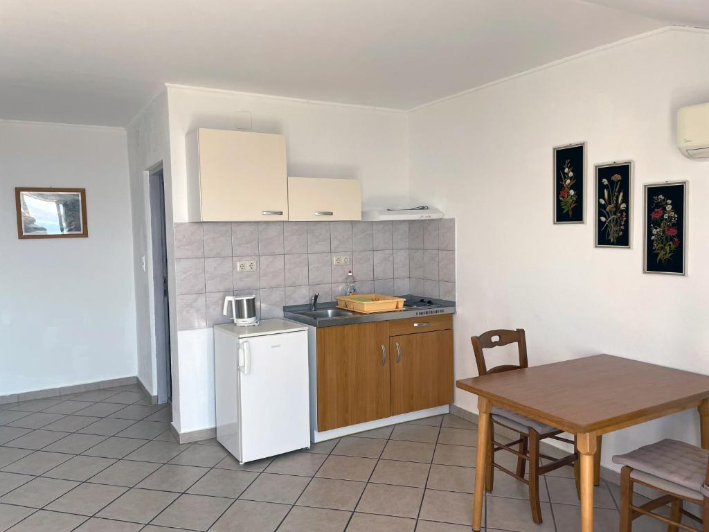 Kuchyň nebo kuchyňský kout v ubytování Apartment Anic