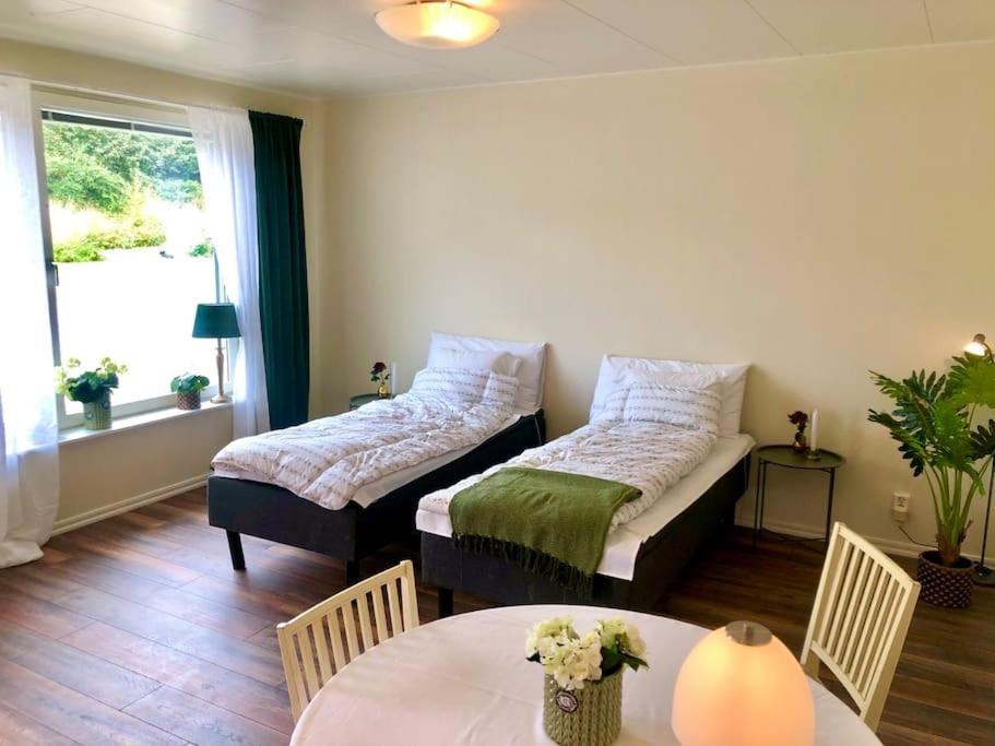 two beds in a living room with a table and a table sidx sidx at Cozy modern studio apartment stay in Falkenberg