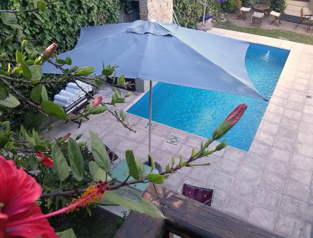 門多薩的住宿－波希米亞精品酒店，游泳池旁的蓝伞