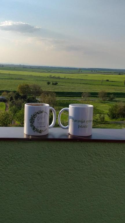 Fotografia z galérie ubytovania Baranja green peace v destinácii Draž