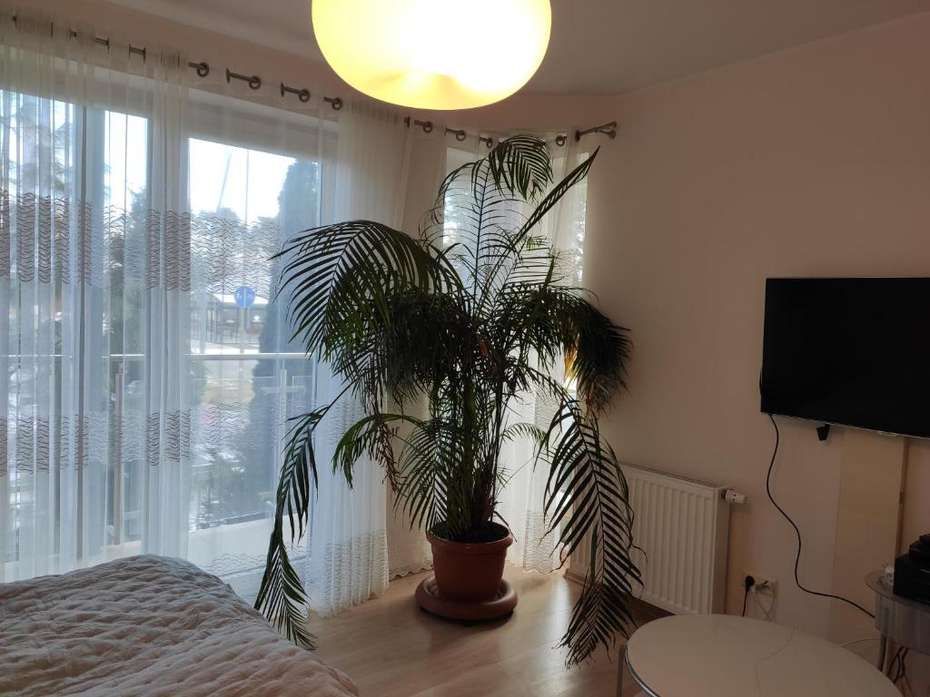 TV a/nebo společenská místnost v ubytování Apartament Nadmorski