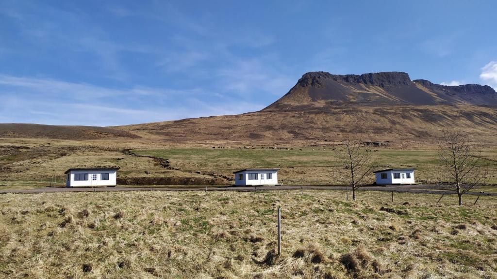 two white houses in a field with a mountain in the background at Brekkukot Cottages, Blönduós in Blönduós