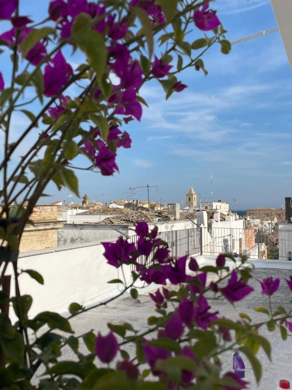 un mazzo di fiori viola con vista sulla città di ELDOH’ a Bernalda