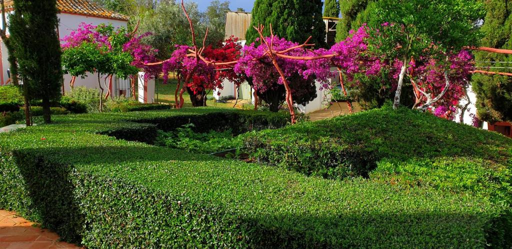 A garden outside Cortijo El Triguero N-398 Ctra Carmona – El Viso del Alcor Km 18