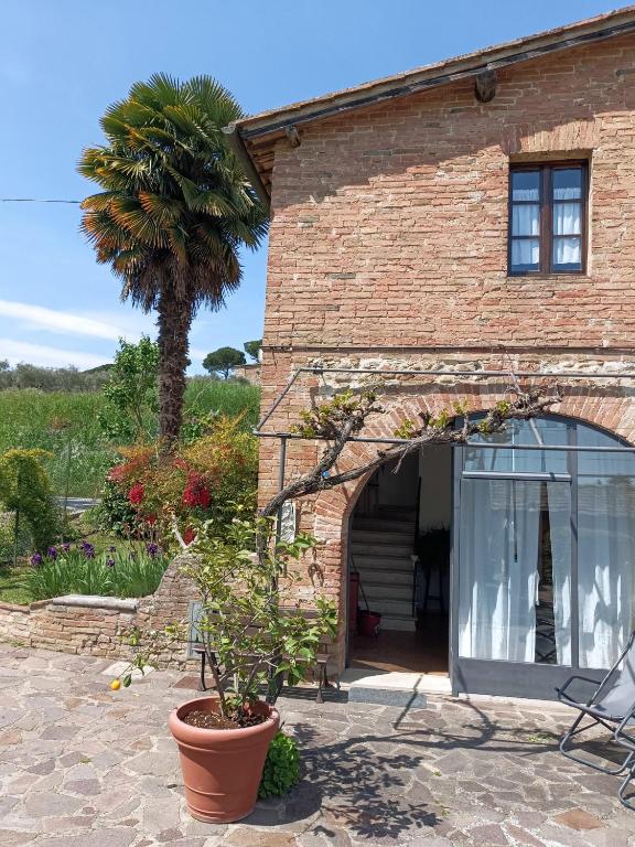 A garden outside Vignano40
