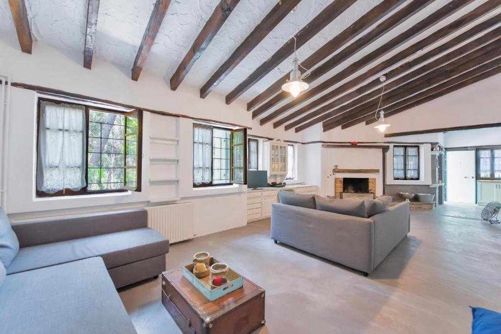 a living room with a couch and a table at Villa Nefeli in Sani Beach