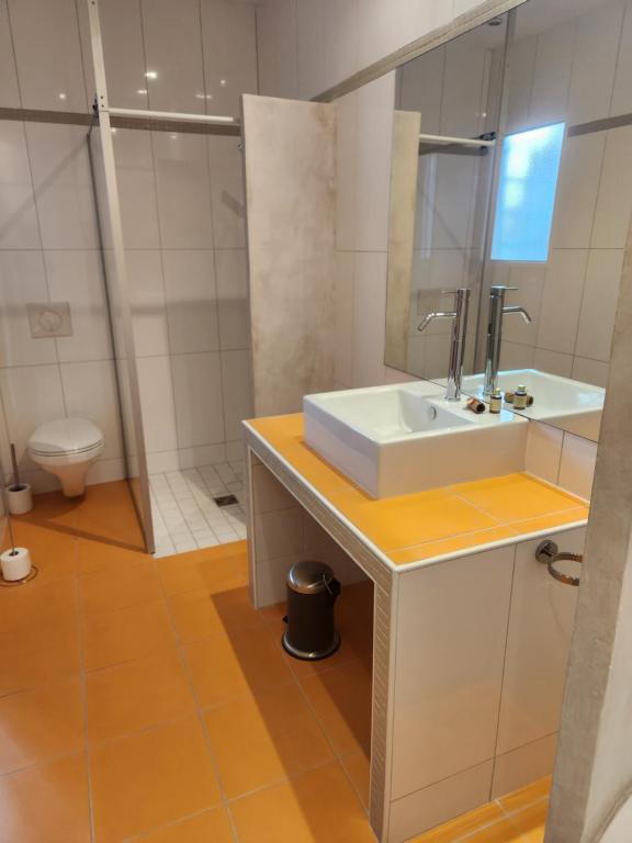 La salle de bains est pourvue d'un lavabo et de toilettes. dans l'établissement Chambres d'hotes Le Bernes, à Vic-Fezensac