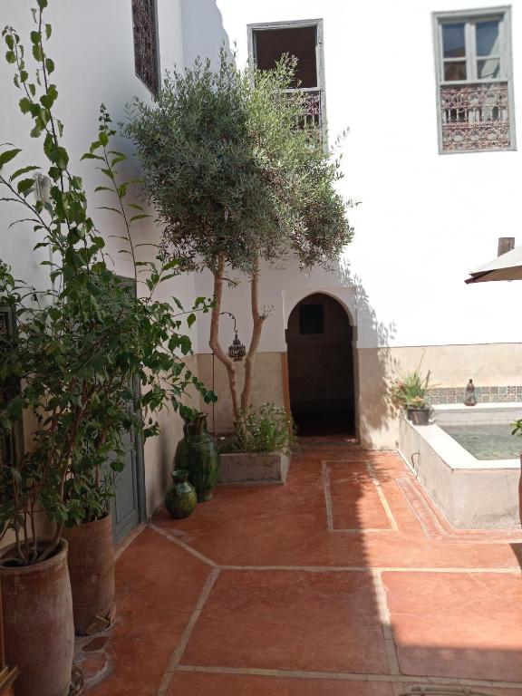 Fotografie z fotogalerie ubytování Riad le Jardin de Mina v Marrákéši