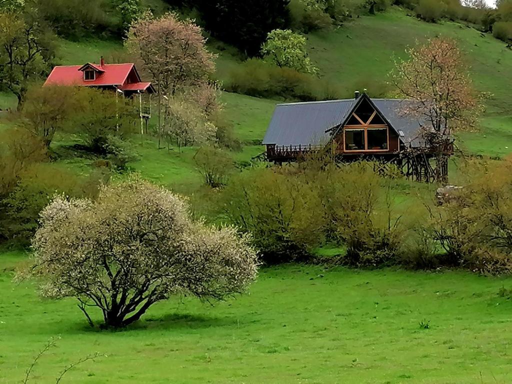 dom na szczycie zielonego wzgórza z drzewami w obiekcie Süllü Dağ Evi w mieście Yavuzkemal