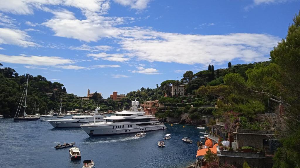 een groep boten in een rivier met gebouwen bij Azzurra holiday home - 850 m al mare - 75 mq - balconata vivibile - wi-fi - pay tv gratis - posteggio auto condominiale non assegnato in Rapallo