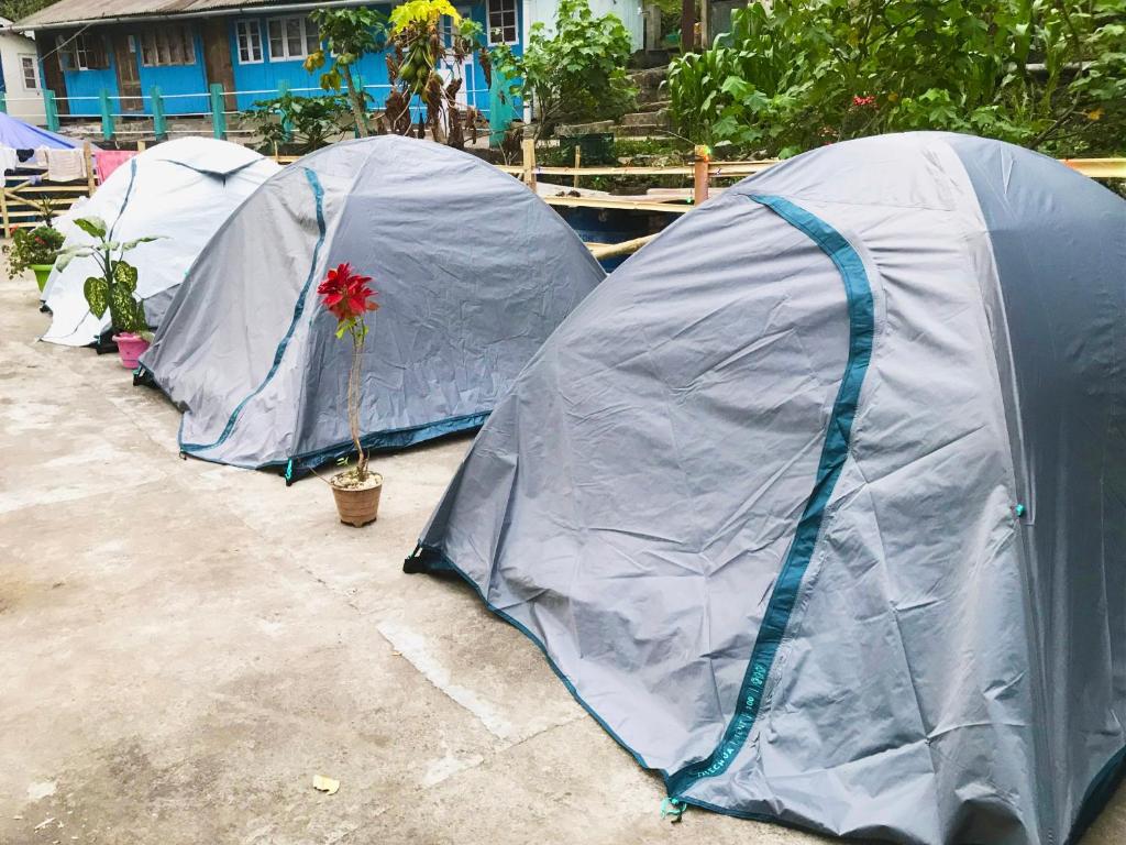 a group of three tents with a flower in a pot at Yumasham Camping in Darjeeling