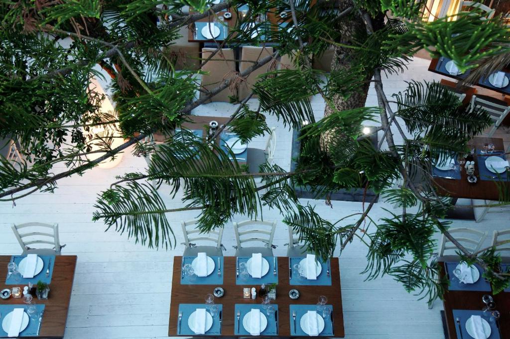 Fresh Boutique Hotel - 4