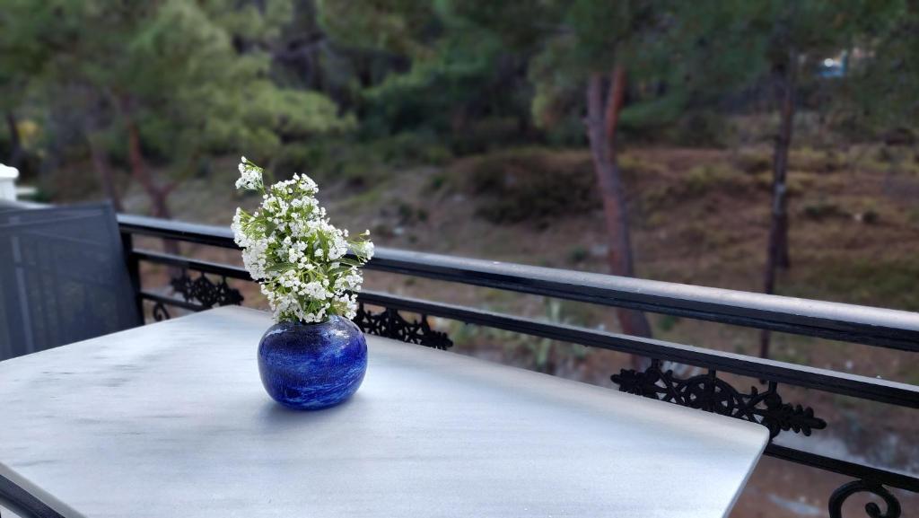 Evaggelia's Seaside Boutique Apartment في إيرايون: وجود مزهرية زرقاء على طاولة مع الزهور