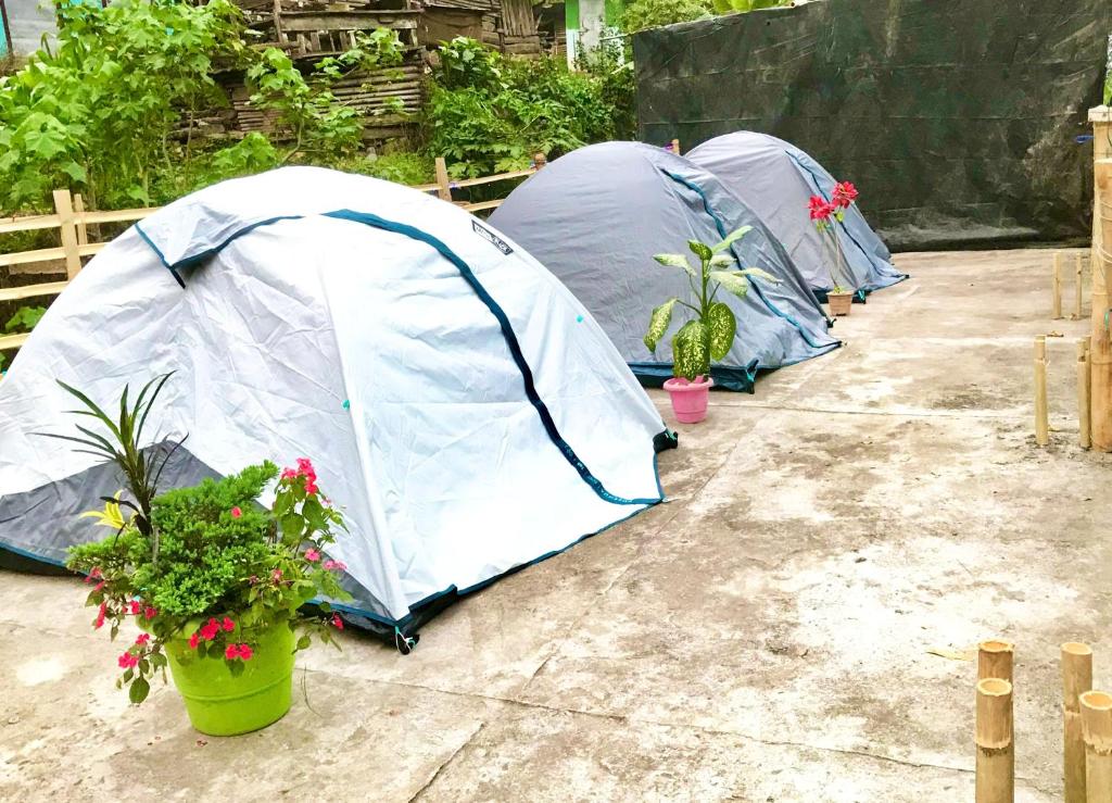 Zahrada ubytování Yumasham Homestay