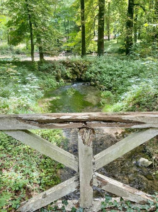Zdjęcie z galerii obiektu Château historique XVIIIe Parc 4ha Rivière w mieście Rimaucourt