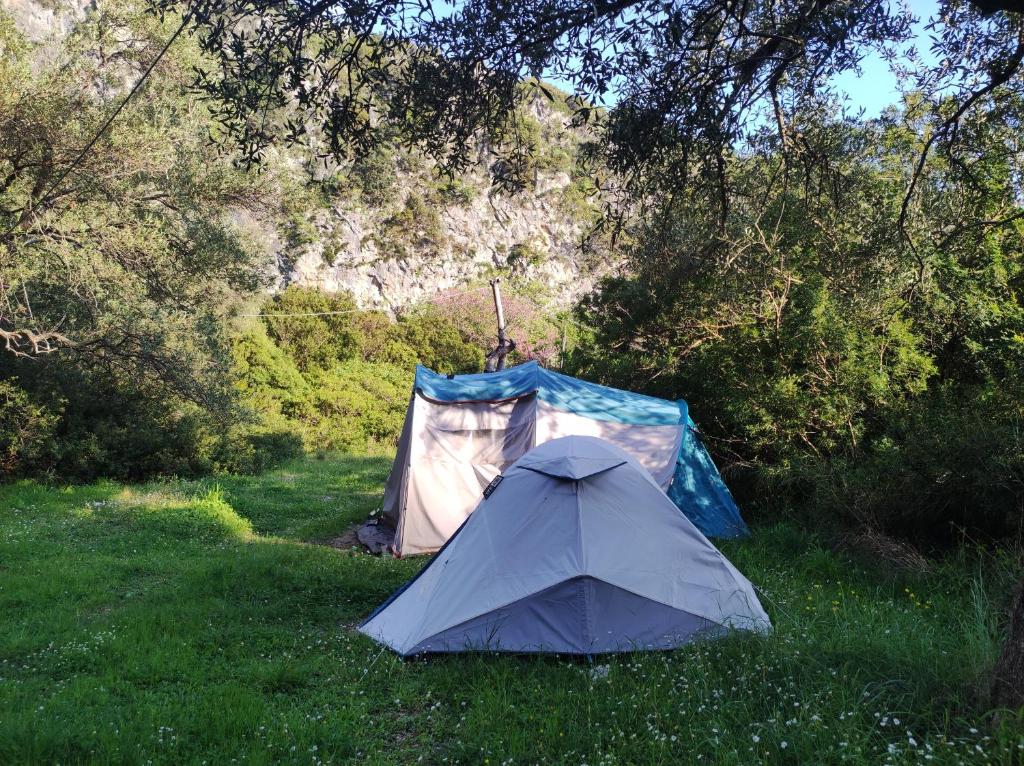 Gjipe Eco Campground - Image 8