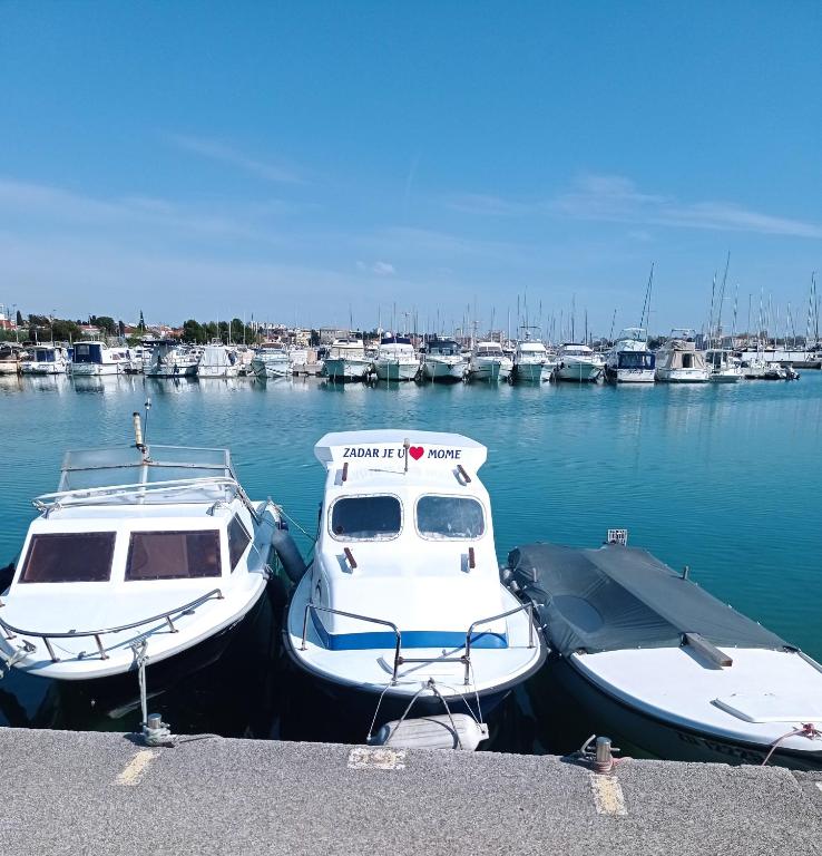 Fibula Apartment Zadar - 15