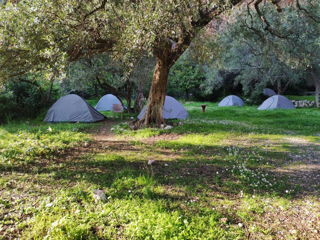 Gjipe Eco Campground - Image 4