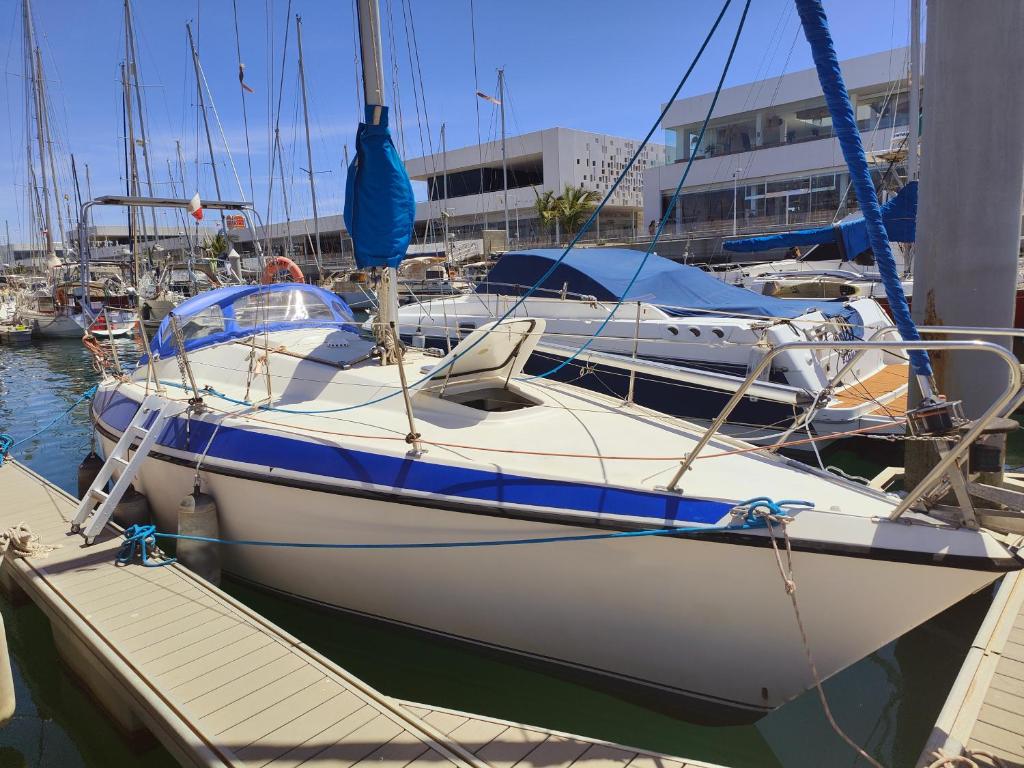 Lanzarote Pirat في أريثيفي: يتم رسو قارب أبيض في المرسى