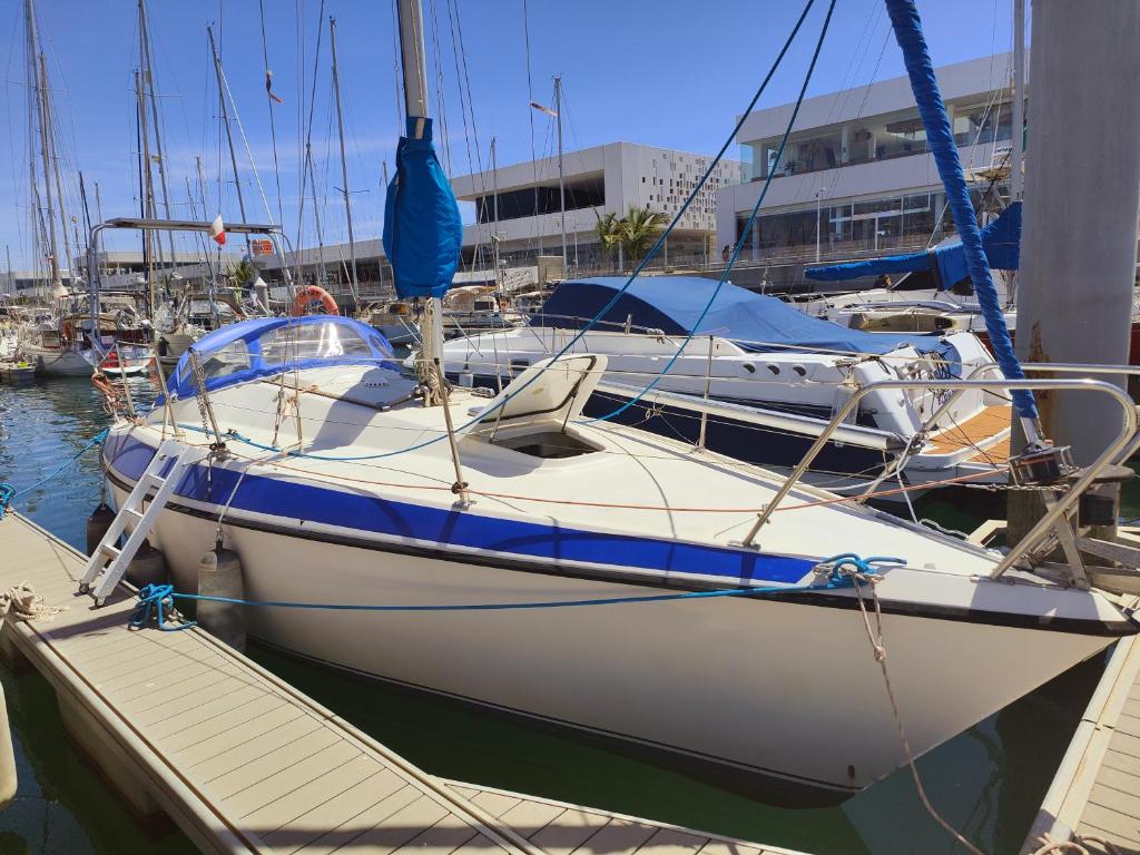 Ein weißes Boot liegt an einem Dock. in der Unterkunft Lanzarote Pirat in Arrecife