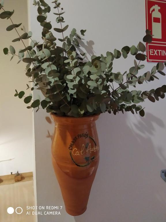 Certifikát, hodnocení, plakát nebo jiný dokument vystavený v ubytování Ca l'Aurora