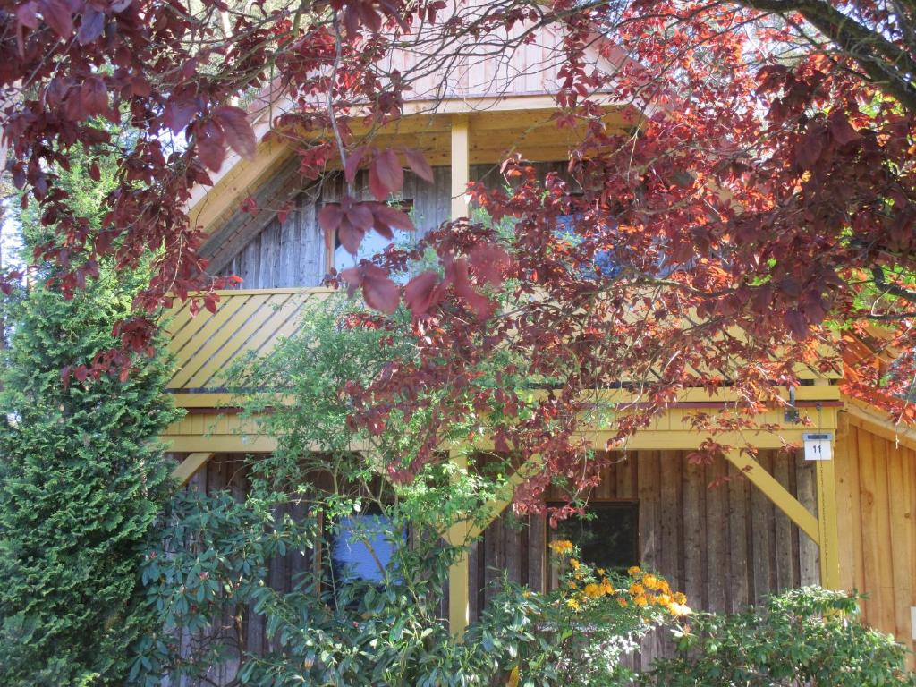 ein von Bäumen mit roten Blättern bedecktes Haus in der Unterkunft Ferienhaus Knopf -direkt am Küstenwald in Zinnowitz
