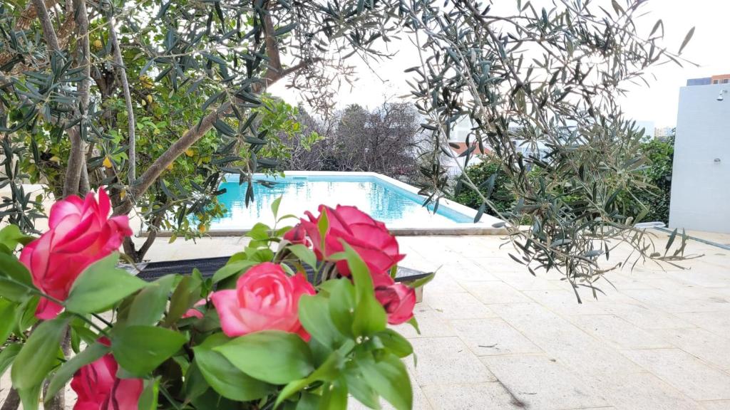 a bunch of roses in front of a swimming pool at La Casa d'Olhão in Quelfes
