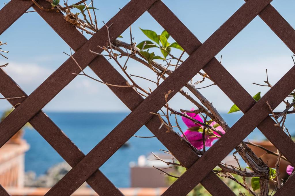 a view through a fence with a pink flower at Hotel Villino Gallodoro in Taormina