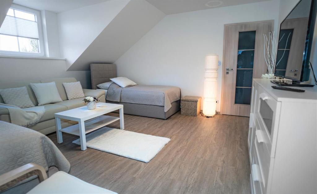 TV a/nebo společenská místnost v ubytování Apartmánový dům Sklípek