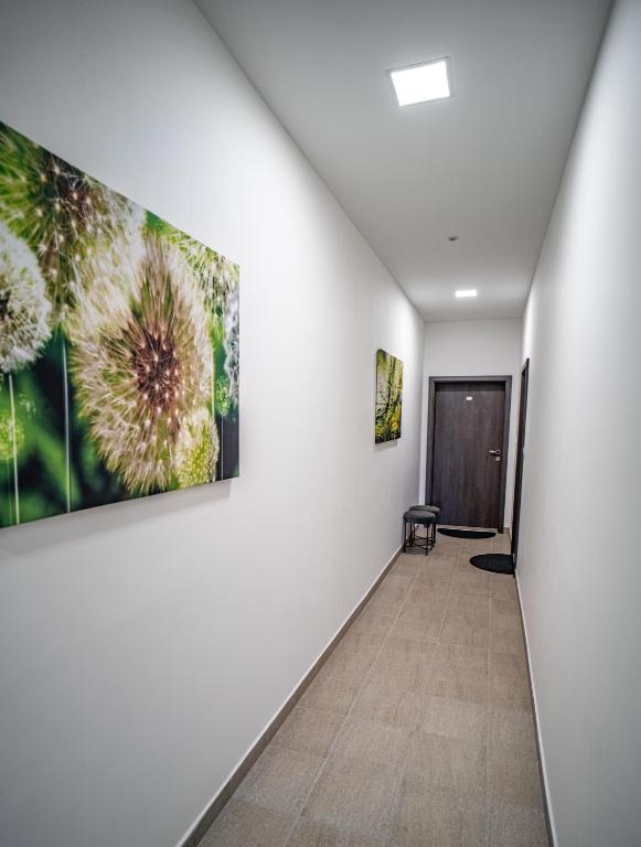 Fotografie z fotogalerie ubytování Apartmánový dům Sklípek v Trutnově