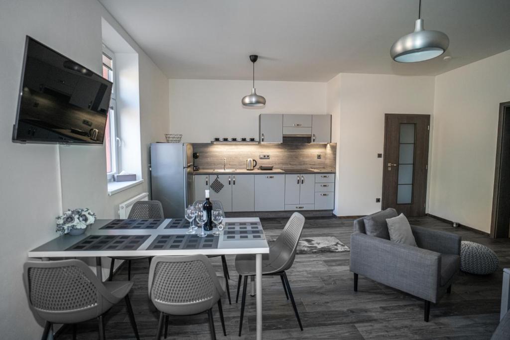 Kuchyň nebo kuchyňský kout v ubytování Apartmánový dům Sklípek