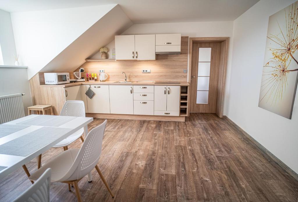 Kuchyň nebo kuchyňský kout v ubytování Apartmánový dům Sklípek