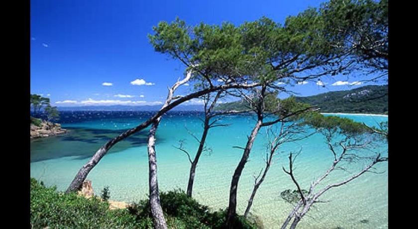 - une vue sur une étendue d'eau arborée dans l'établissement Petit coin de paradis les pieds dans l’eau, à La Londe-les-Maures