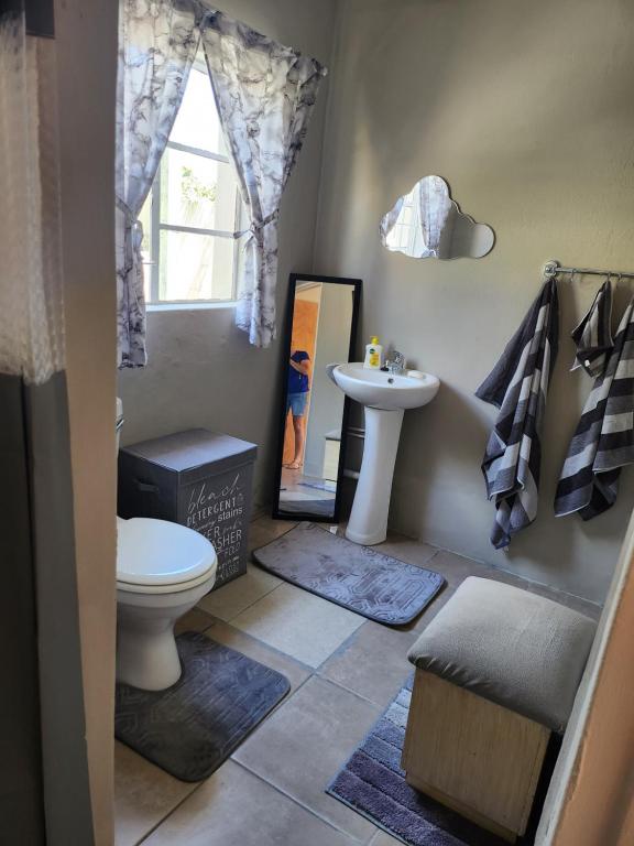 a bathroom with a toilet and a sink at Tjokkerland in Cradock