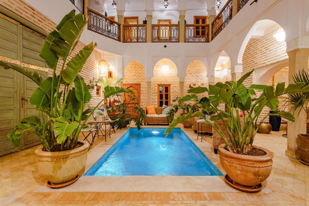 een zwembad in een grote ruimte met planten bij SABOR SAFRA in Marrakesh