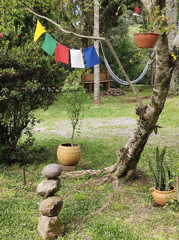 Ein Garten an der Unterkunft Chalé São Rafael - Recanto da Natureza
