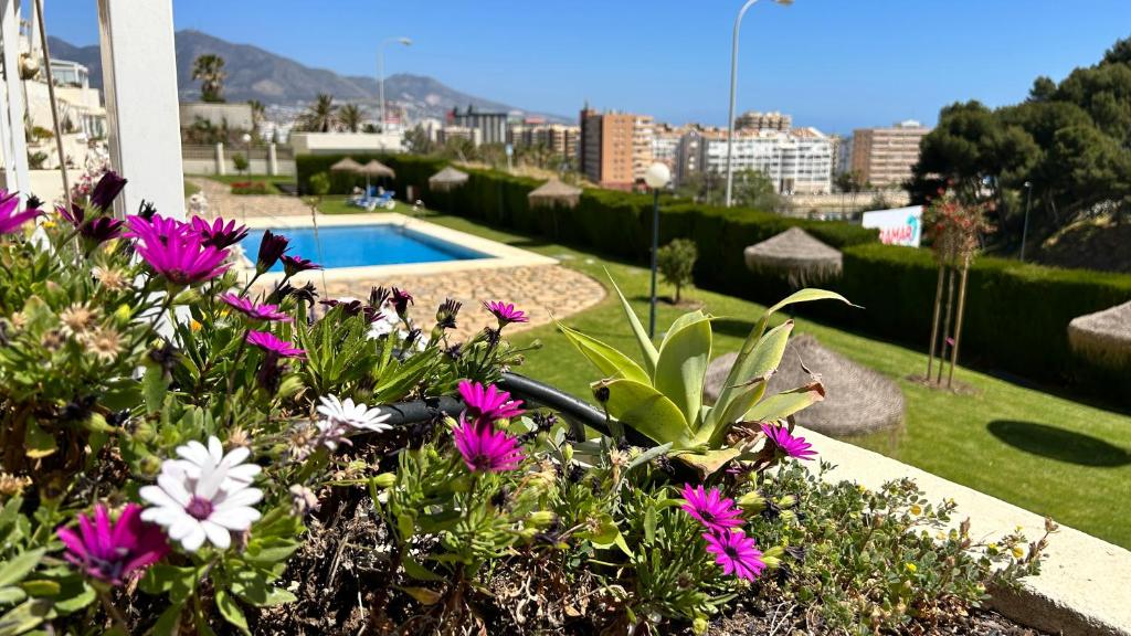 einen Garten mit lila Blumen und einem Pool in der Unterkunft FUENGIROLA Castillo Malaga PARADAISE 3 in Fuengirola