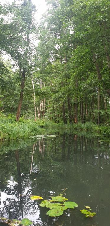 SPREE Hotel in der Altstadt - 4