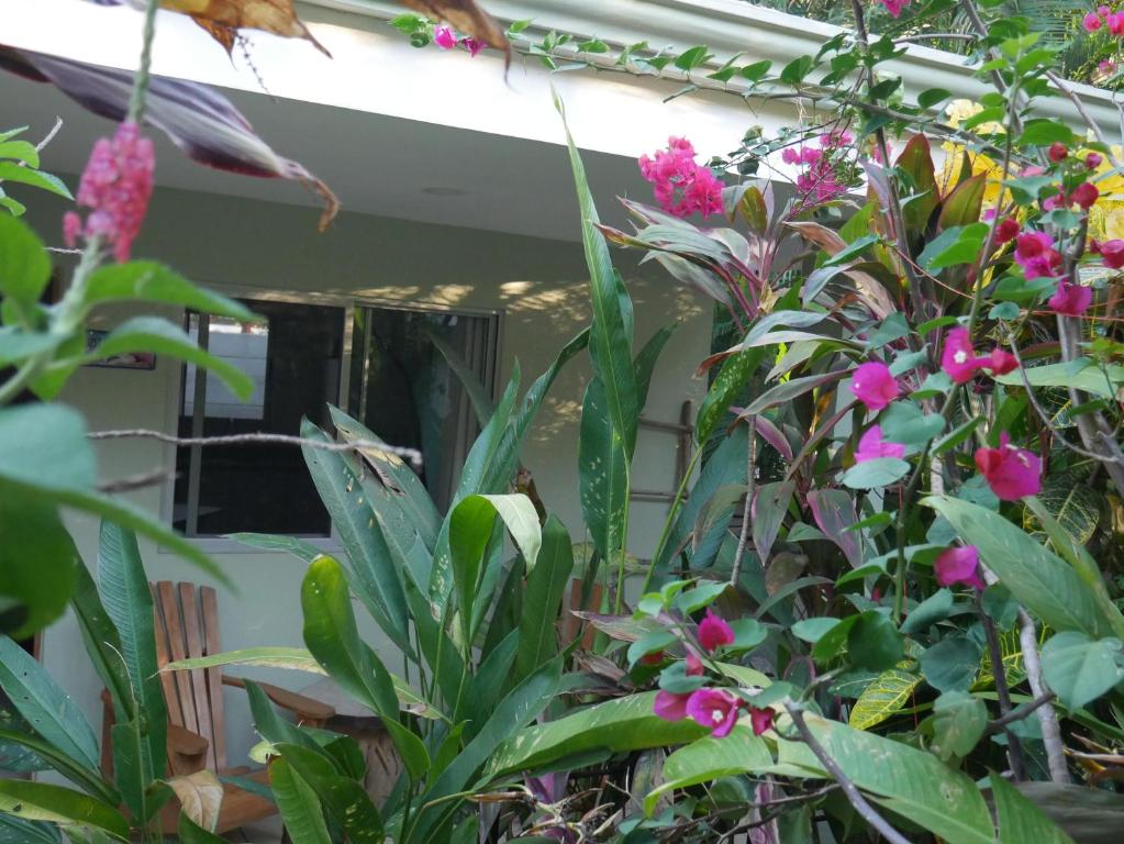 Zahrada ubytování Cote Pacific Casitas